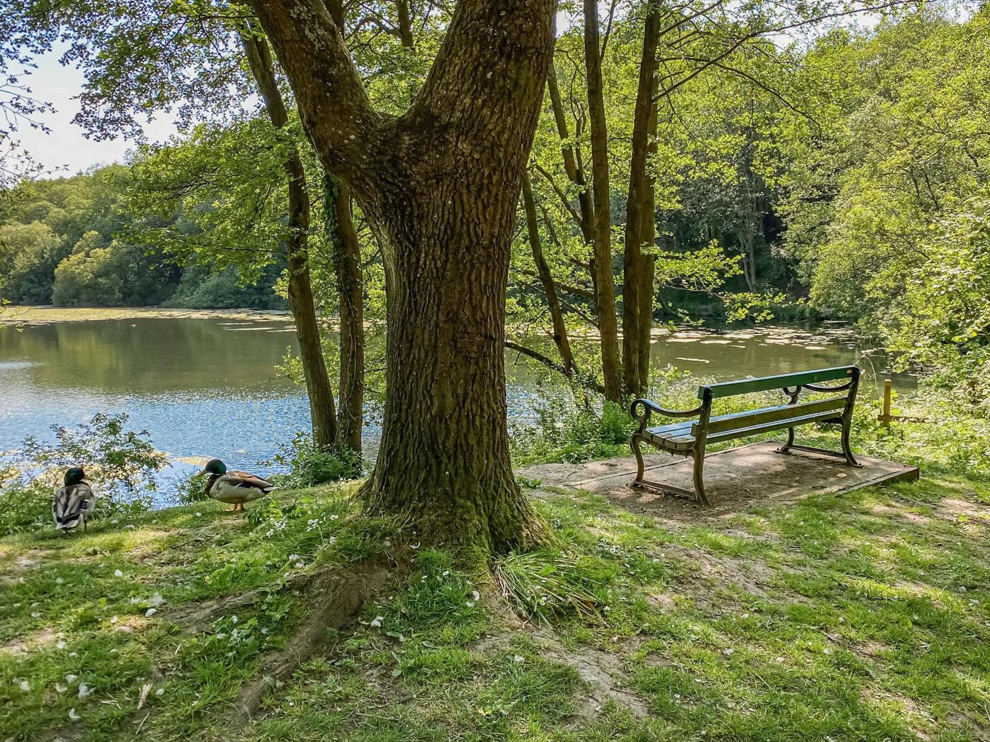 Serenity- Uk38551 Endon Zewnętrze zdjęcie